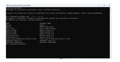 Come installare e utilizzare Linux su Windows (WSL) - Salvatore Luongo
